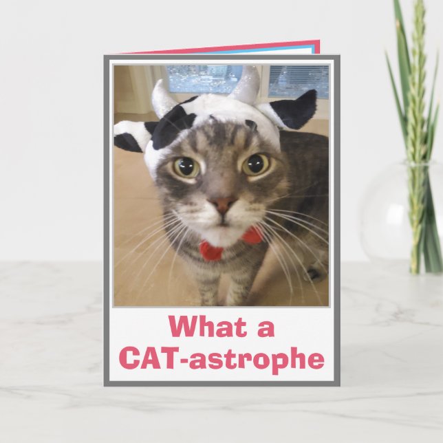 Funny Belated Geburtstag Karte (Vorderseite)