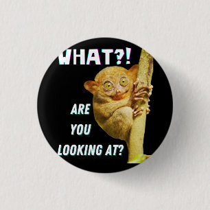 Funny Big Mit Augen Tarsier Was Sie sehen Button
