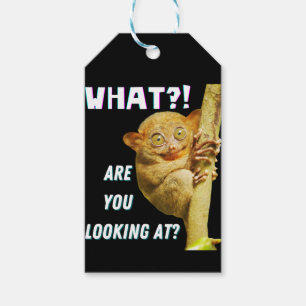 Funny Big Mit Augen Tarsier Was Sie sehen Geschenkanhänger
