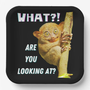 Funny Big Mit Augen Tarsier Was Sie sehen Pappteller