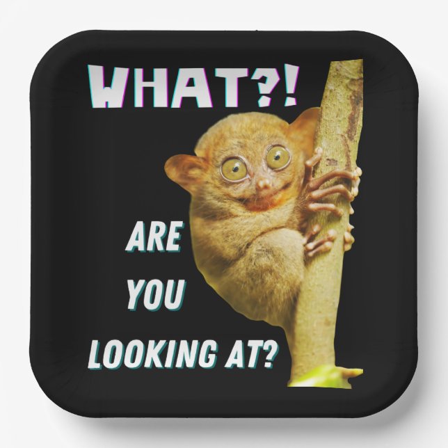 Funny Big Mit Augen Tarsier Was Sie sehen Pappteller (Vorderseite)