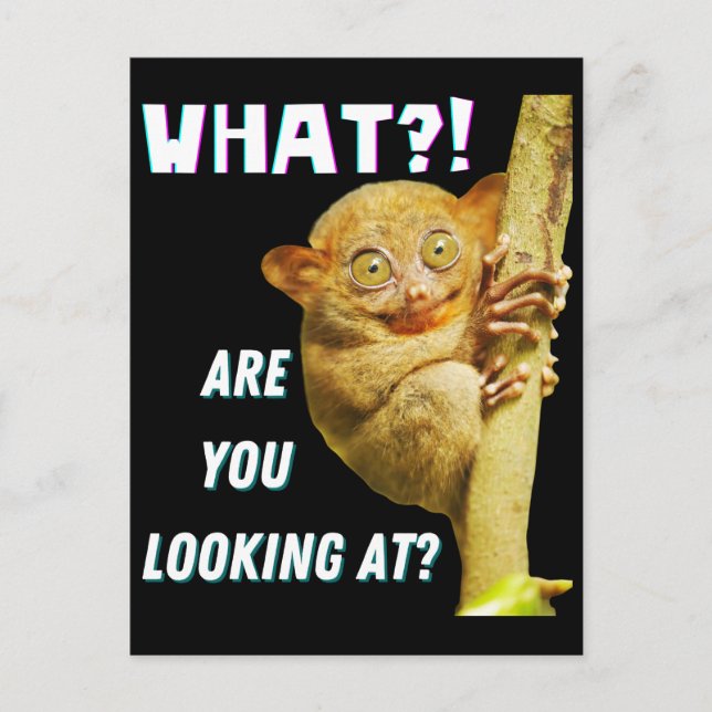 Funny Big Mit Augen Tarsier Was Sie sehen Postkarte (Vorderseite)