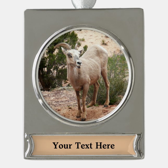 Funny Bighorn Sheep im Zion Nationalpark Banner-Ornament Silber (Vorderseite)
