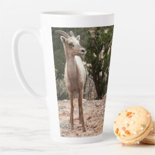 Funny Bighorn Sheep im Zion Nationalpark Milchtasse