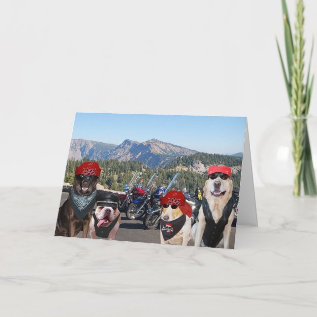 Funny Biker Hunde auf einem Berg Geburtstag Karte (Vorderseite)