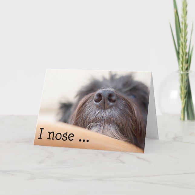 Funny Birthday Card - Die Hundenase Karte (Vorderseite)
