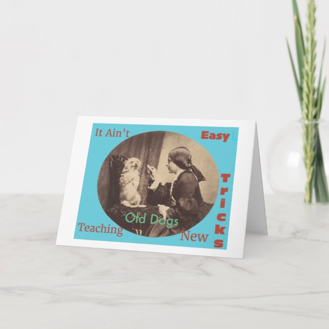 Funny Birthday Card für alte Hunde Einladung (Vorderseite)