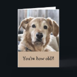 Funny Birthday Card Karte<br><div class="desc">Liebliche Geburtstagskarte mit goldenem Retriever.</div>