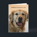 Funny Birthday Card Karte<br><div class="desc">Die goldene Weihnachtskarte für jeden,  der vom Hund oder von jemandem kommt. Diese Karte ist mit Ihrer personalisierten Nachricht oder Ihrem Namen anpassbar.</div>