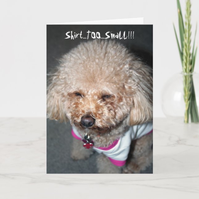 Funny Birthday Card Karte (Vorderseite)