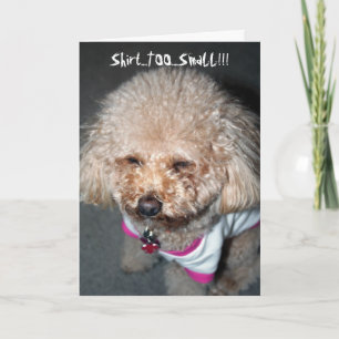 Funny Birthday Card Karte