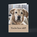 Funny Birthday Card Karte<br><div class="desc">Liebliche Geburtstagskarte mit goldenem Retriever. Diese Karte ist mit Ihrer personalisierten Nachricht anpassbar.</div>