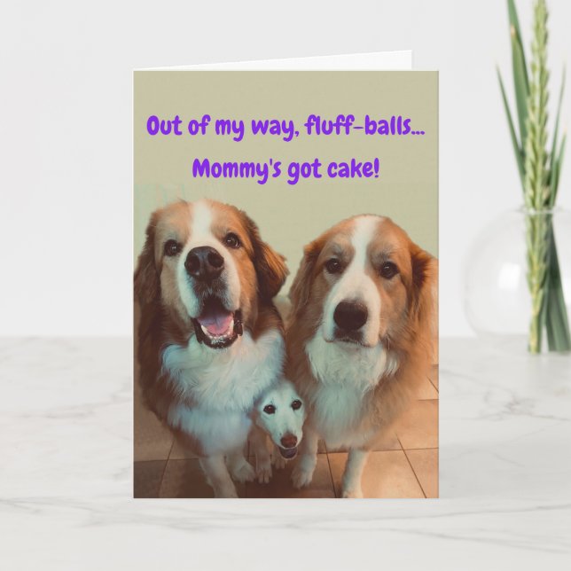 Funny Birthday Card Kurzer Hund mit flauschigen Hu Karte (Vorderseite)