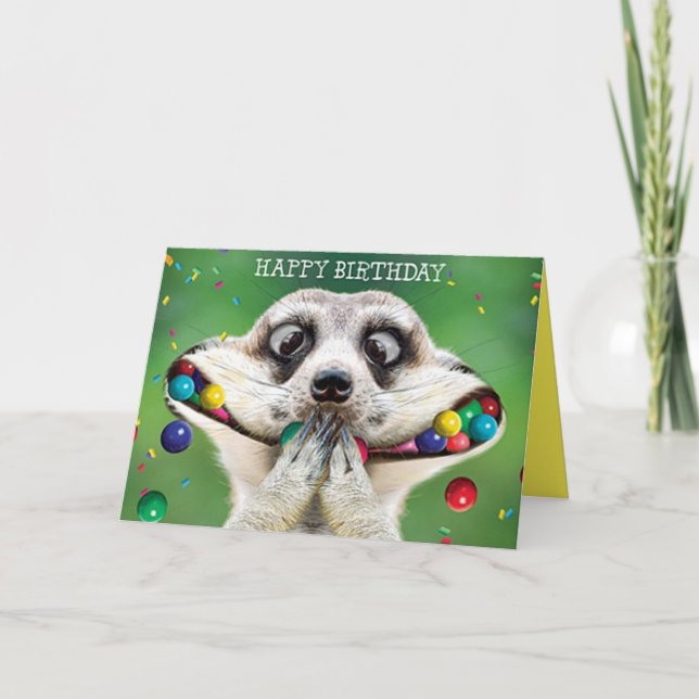 Funny Birthday Card - Meerkat Karte (Vorderseite)