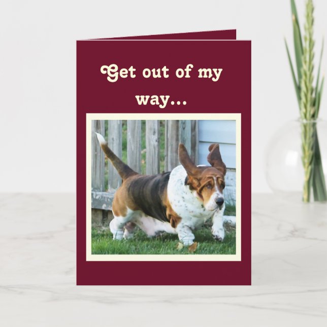 Funny Birthday Card mit Niedlichem Basset Hound/Ca Karte (Vorderseite)