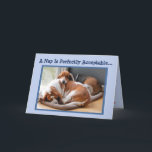 Funny Birthday Card mit Niedlicher Napping Basset Karte<br><div class="desc">Funny Birthday Card mit Niedlicher Napping Basset Hounds</div>