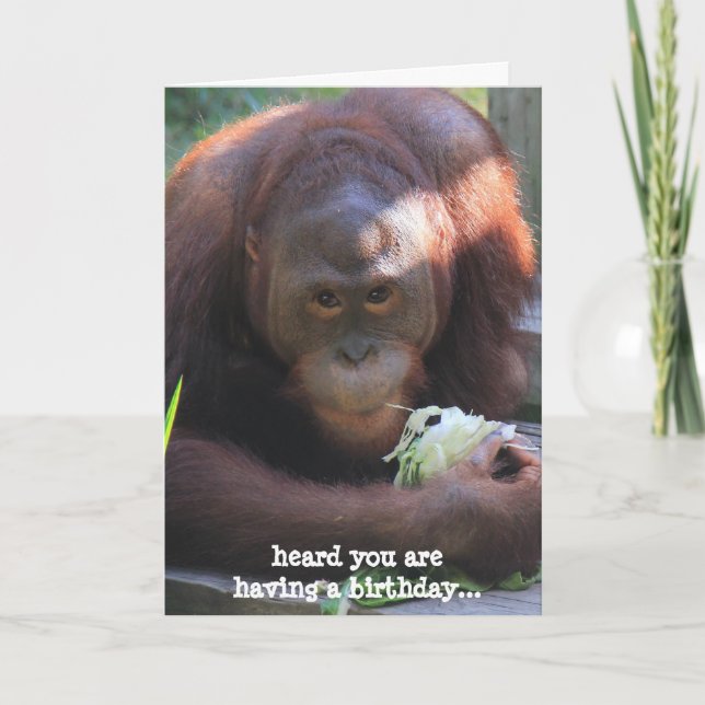 Funny Birthday Card, Orangutan will Kuchen! Karte (Vorderseite)