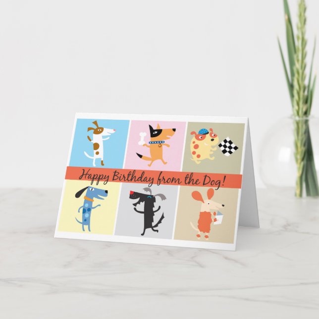 Funny Birthday Card vom Hund Karte (Vorderseite)