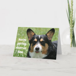 Funny Birthday Card Welsh Corgi Karte
