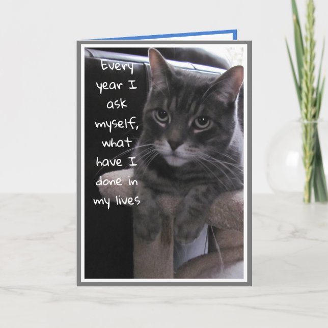 Funny Birthday Cat Card Karte (Vorderseite)