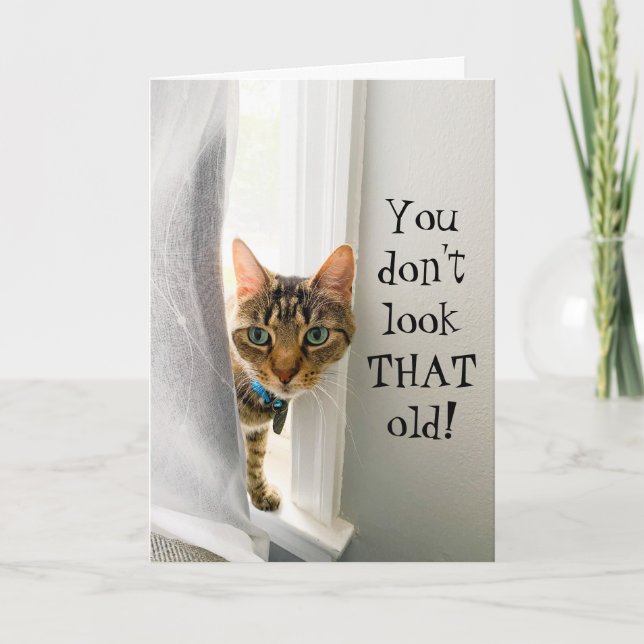 Funny Birthday Compliment Cat Card Karte (Vorderseite)