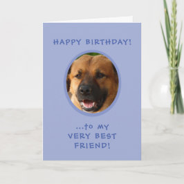 Funny Birthday From Dog To Owner Foto Card Karte