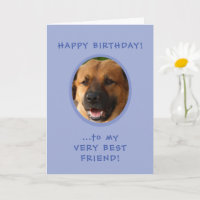 Funny Birthday From Dog To Owner Foto Card