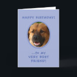 Funny Birthday From Dog To Owner Foto Card Karte<br><div class="desc">Funny Birthday From Dog To Owner Foto von Card with punchline inside feature doggie's pic on front and text reading "Happy Birthday to My Very Best Friend!" Inside,  it says,  "... from Ol' Yours Drooly!" Then,  Love and his (or her) name. Just upload pup's fotograph to get started.</div>