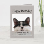 Funny Birthday Old Age Over Hill, Cat Spaß Karte<br><div class="desc">Wenn du denkst,  dass du alt bist,  wirst du alt sein,  aber wenn du denkst,  dass du jung bist,  wirst du eine wahnsinnige alte Furz sein.  Spaß Katze Geburtstag Spaß.</div>