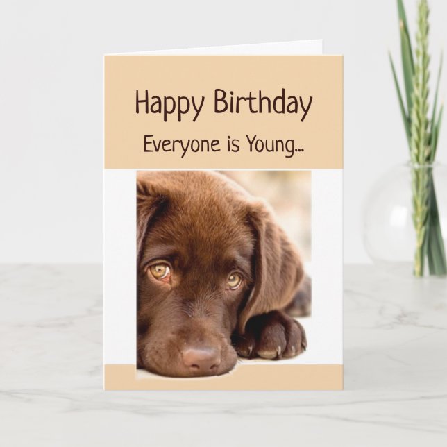 Funny Birthday Old Age Over the Hill Dog Karte (Vorderseite)
