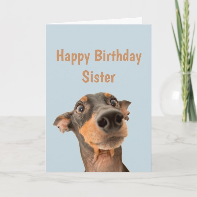 Funny Birthday Sister schockiert Hund Tier Spaß Karte (Vorderseite)