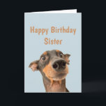 Funny Birthday Sister schockiert Hund Tier Spaß Karte<br><div class="desc">Viel Spaß beim Geburtstag,  sodass sich Ihr Haustier Sorgen macht.  Herzlichen Glückwunsch zum Geburtstag für Schwester mit humorvollem Vers im Inneren und schockierendem Hund</div>