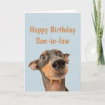 Funny Birthday Son-in-Schwiegertochter Hundetier Karte<br><div class="desc">Viel Spaß beim Geburtstag,  sodass sich Ihr Haustier Sorgen macht.  Alles Gute zum Geburtstag für den Schwiegersohn mit einem humorvollen Vers im Inneren und schockiertem Hund</div>