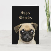 Funny Birthday Spaß Pet, Mops Dog Card