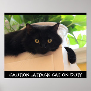 Funny Black Cat Poster, Attack Cat on Duty Poster
