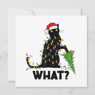 Funny Black Cat Pushing Weihnachtsbaum über Cat Ch Dankeskarte