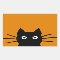 Funny Black Cat