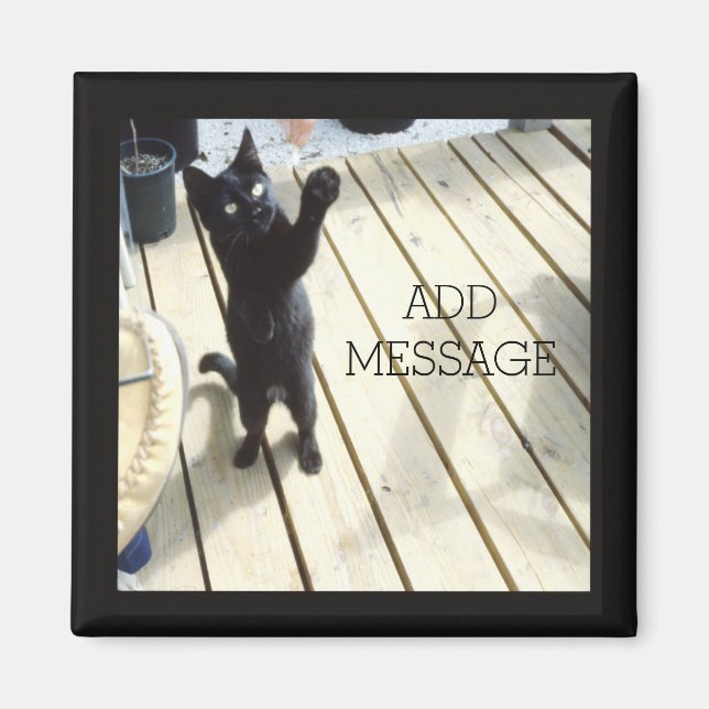 Funny Black Cat Swatt die Luft im Freien Magnet (Vorne)
