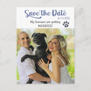 Funny Blue Text Rette das Hochzeitdatum mit Hund Postkarte