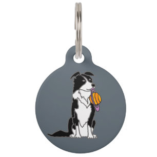 Funny Border Collie mit Saturn Disk Haustiermarke