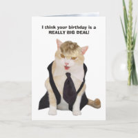 Funny Boss Cat with Blonde Toupee