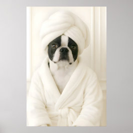 Funny Boston Terrier Bathroom Print, Terrier In Poster