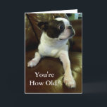 Funny Boston Terrier Birthday Card (Tierrettung) Karte<br><div class="desc">Diese Karte enthält einen bezaubernden Boston Terrier, der komisch schockiert ist, wenn es darum geht, Ihr Alter zu erfahren, und der perfekt für alle geeignet ist, die eine lustige Geburtstagskarte oder sogar eine Tagesdosis von niedlichen benötigen. Außerdem werden 5 % der Lizenzgebühren aus jedem Verkauf für Tierrettungen gespendet, sodass jeder...</div>