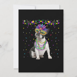 Funny Boston Terrier Wear Karneval Mask Mardi Ankündigung