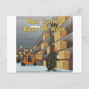 Funny Box Turtles bei der Arbeit Postkarte