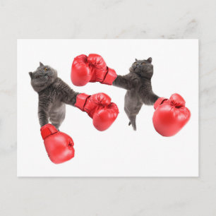 Funny Boxing Postkarte