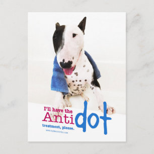 Funny Bull Terrier Foto Grußkarte Postkarte