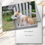 Funny Bulldog Birthday Karte<br><div class="desc">Ein dicker, schläfriger Bulldogge dosiert in einem alten Holzrasenstuhl auf der Vorderseite dieser lustigen Geburtstagskarte. Der Text in Weiß sagt: "Es ist dein Geburtstag?". Im Inneren steht: "Ich bin überwältigt" und dann in kleinerem kursiv gedrucktem Text: "Hoffe, es ist ein glücklicher!" Der gesamte Text, vorne und innen, ist einfach zu...</div>