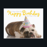 Funny Bulldog Birthday Postkarte<br><div class="desc">Geburtstags-Hut mit Bulldogge ist hier, um Ihrem Haustier einen guten Geburtstag zu wünschen. Süße Tier Geburtstagskarten. Hundepostkarten für Tierärzte, Großomere oder alle, die Tiere Liebe und will, die Liebe zu verbreiten.</div>