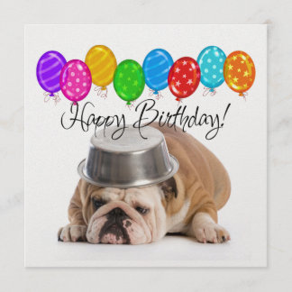 Funny Bulldog - Einladung zum Geburtstag - SRF